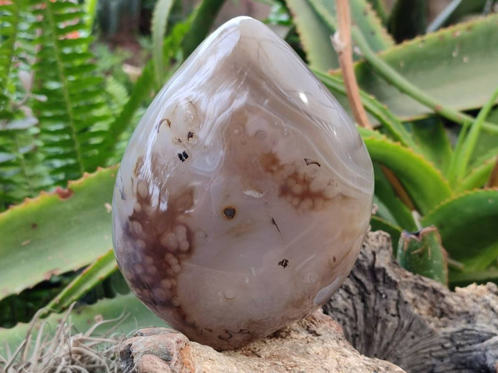 Polished Agate Standing Free Forms x 1 From West Coast, Madagascar - Toprock Gemstones and Minerals 