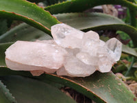 Natural Quartz Clusters x 4 From Mpika, Zambia