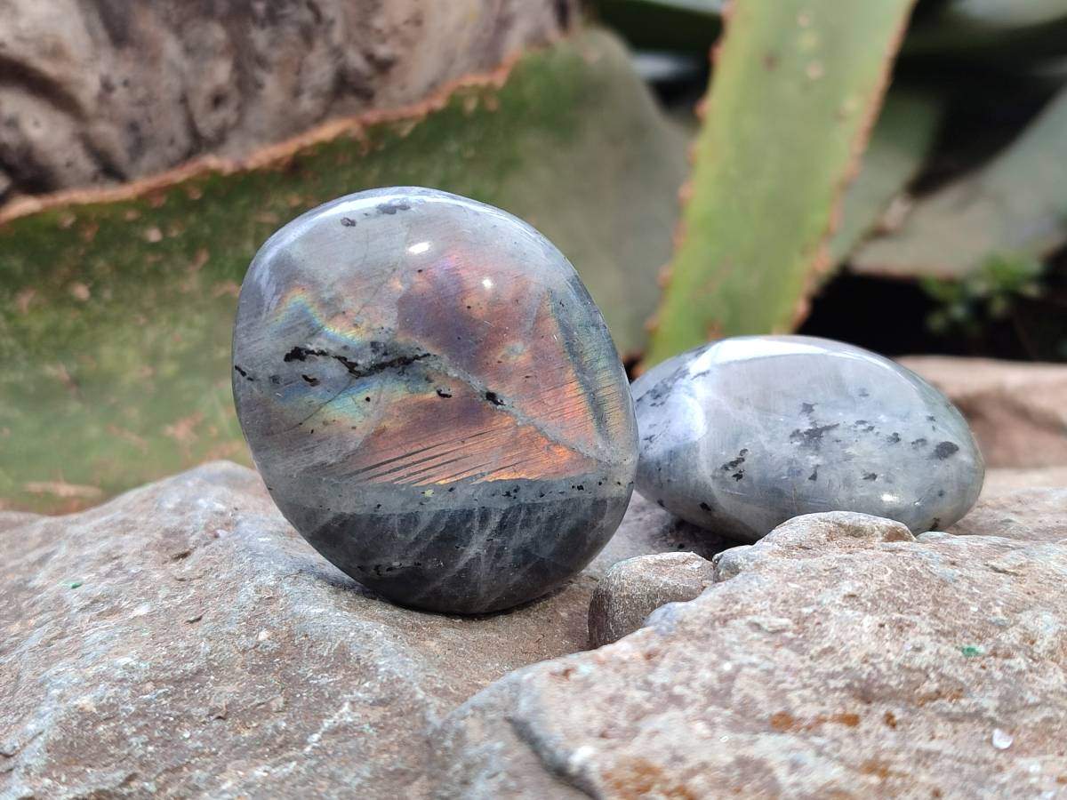 Polished Labradorite Palm Stones x 20 From Tulear, Madagascar - Toprock Gemstones and Minerals 