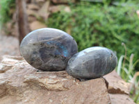 Polished Labradorite Palm Stones x 20 From Tulear, Madagascar