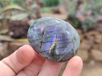 Polished Labradorite Palm Stones x 20 From Tulear, Madagascar - Toprock Gemstones and Minerals 