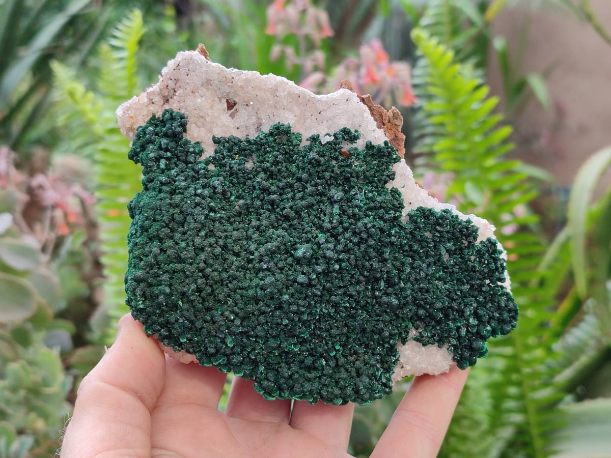 Natural Crystalline Ball Malachite and Quartz On Dolomite Matrix Specimens x 2 From Kambove, Congo - Toprock Gemstones and Minerals 