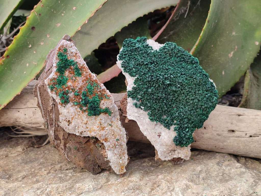 Natural Crystalline Ball Malachite and Quartz On Dolomite Matrix Specimens x 2 From Kambove, Congo - Toprock Gemstones and Minerals 