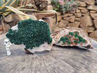 Natural Crystalline Ball Malachite and Quartz On Dolomite Matrix Specimens x 2 From Kambove, Congo