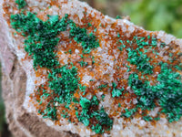 Natural Crystalline Ball Malachite and Quartz On Dolomite Matrix Specimens x 2 From Kambove, Congo