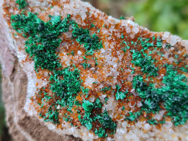Natural Crystalline Ball Malachite and Quartz On Dolomite Matrix Specimens x 2 From Kambove, Congo
