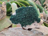 Natural Crystalline Ball Malachite and Quartz On Dolomite Matrix Specimens x 2 From Kambove, Congo