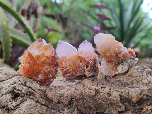 Natural Mixture Of Spirit Amethyst and Ametrine Clusters x 35 From Boekenhouthoek, South Africa