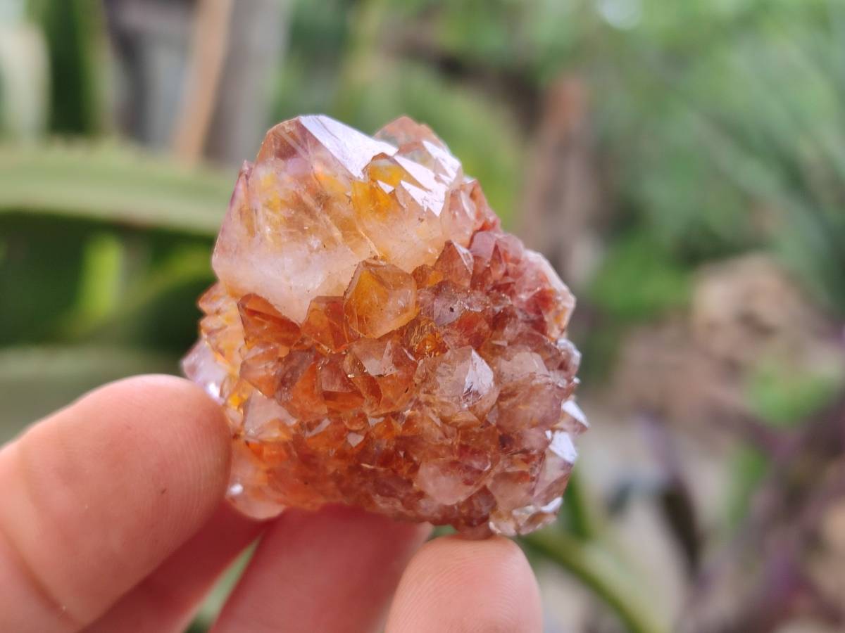 Natural Mixture Of Spirit Amethyst and Ametrine Clusters x 35 From Boekenhouthoek, South Africa - Toprock Gemstones and Minerals 