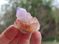 Natural Mixture Of Spirit Amethyst and Ametrine Clusters x 35 From Boekenhouthoek, South Africa
