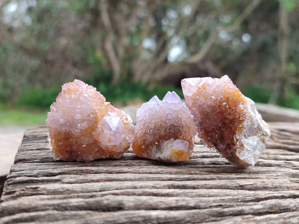 Natural Mixture Of Spirit Amethyst and Ametrine Clusters x 35 From Boekenhouthoek, South Africa - Toprock Gemstones and Minerals 