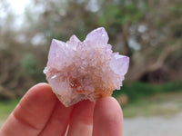 Natural Mixture Of Spirit Amethyst and Ametrine Clusters x 35 From Boekenhouthoek, South Africa