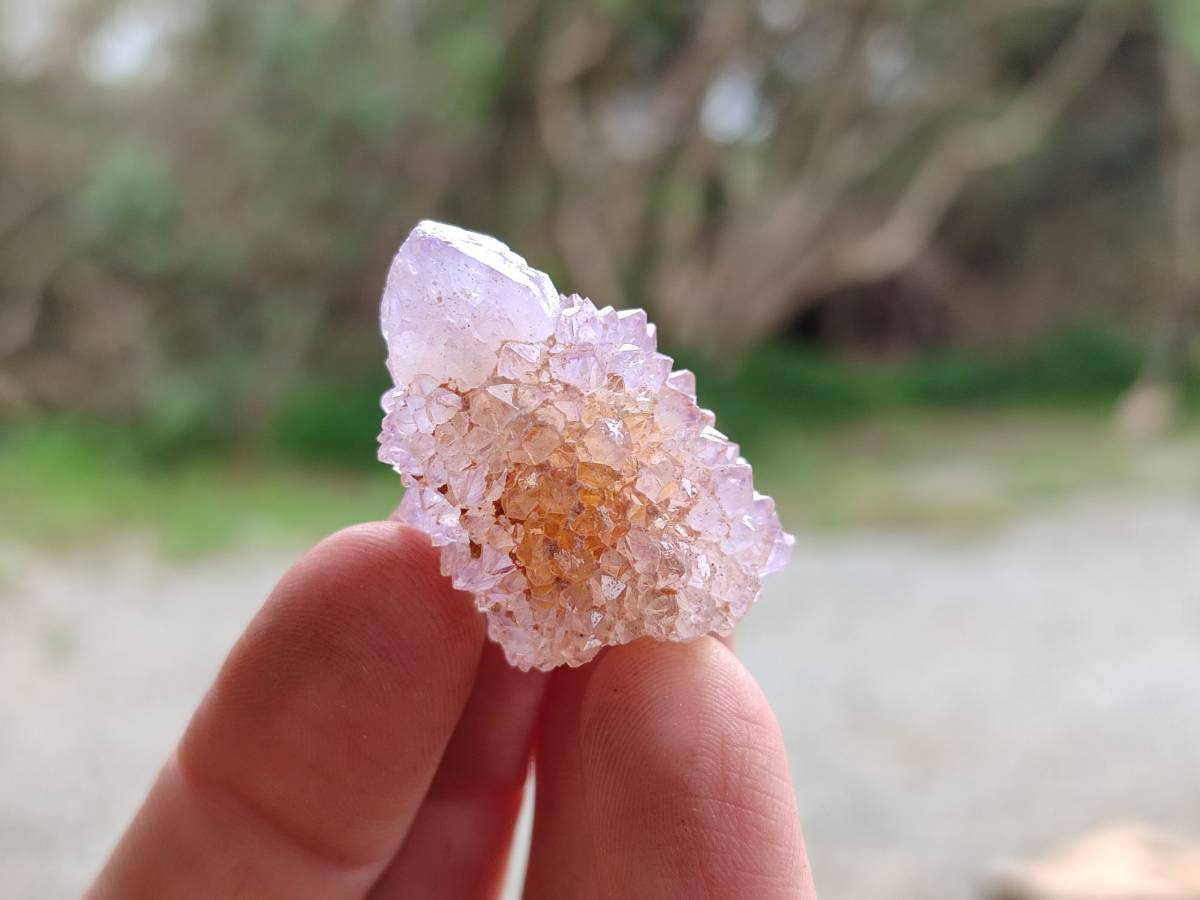 Natural Mixture Of Spirit Amethyst and Ametrine Clusters x 35 From Boekenhouthoek, South Africa - Toprock Gemstones and Minerals 
