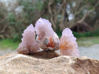 Natural Mixture Of Spirit Amethyst and Ametrine Clusters x 35 From Boekenhouthoek, South Africa - Toprock Gemstones and Minerals 