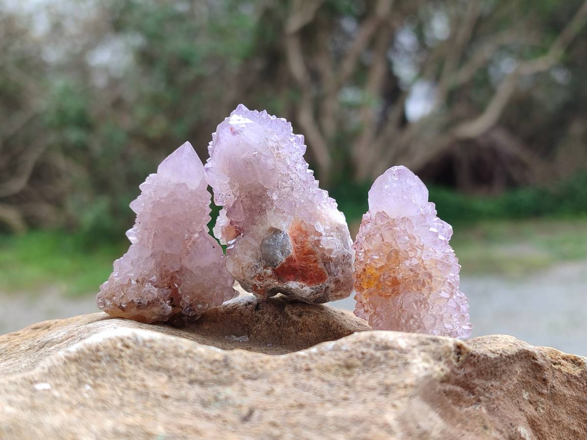 Natural Mixture Of Spirit Amethyst and Ametrine Clusters x 35 From Boekenhouthoek, South Africa - Toprock Gemstones and Minerals 