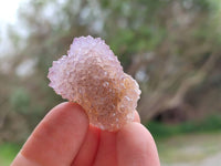 Natural Mixture Of Spirit Amethyst and Ametrine Clusters x 35 From Boekenhouthoek, South Africa