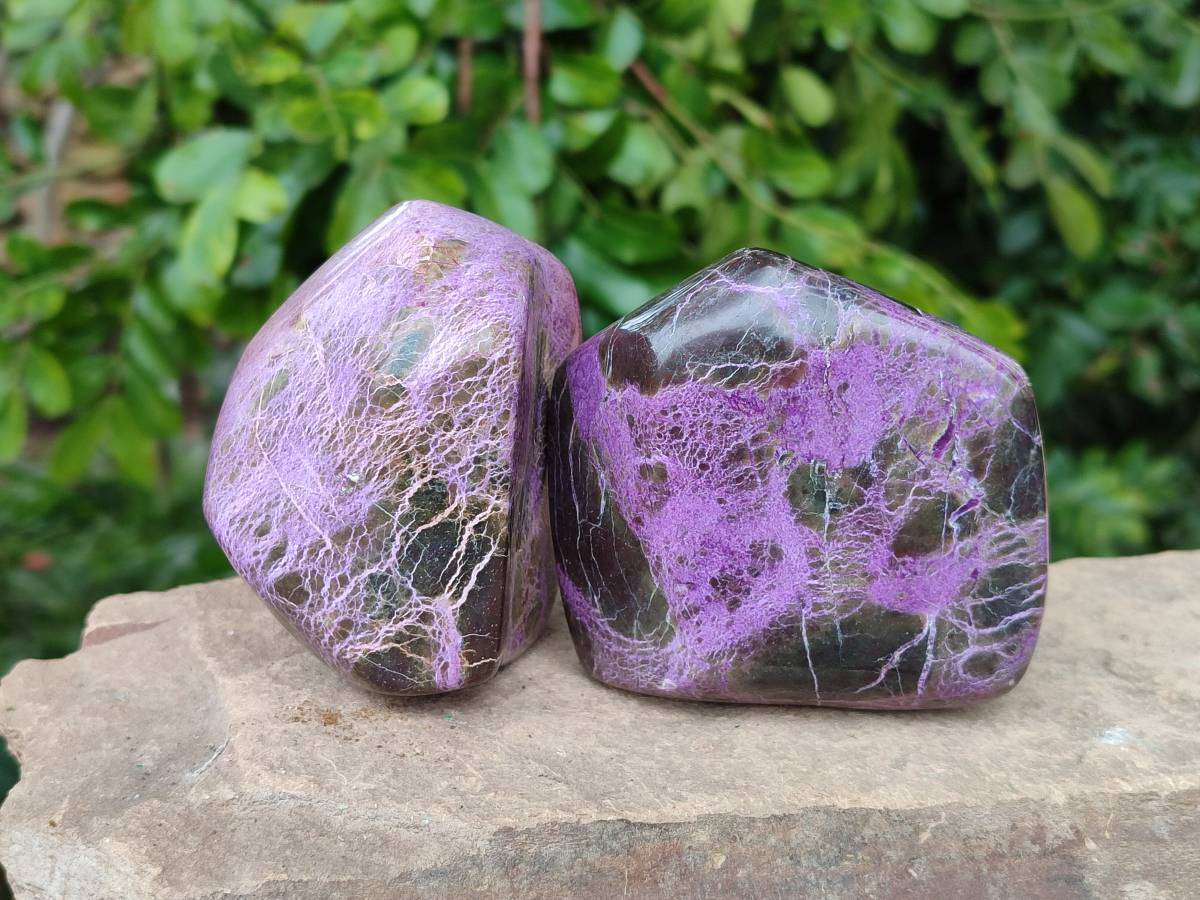 Polished Stichtite Free Forms x 4 From Barberton, South Africa - Toprock Gemstones and Minerals 