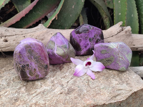 Polished Stichtite Free Forms x 4 From Barberton, South Africa