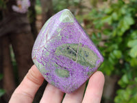 Polished Stichtite Free Forms x 4 From Barberton, South Africa