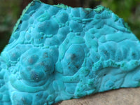 Natural Malachite Malacolla Botryoidal Chrysocolla Specimens x 6 From Kulukuluku, Congo