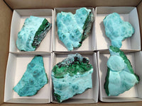 Natural Malachite Malacolla Botryoidal Chrysocolla Specimens x 6 From Kulukuluku, Congo