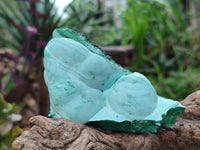 Natural Malachite Malacolla Botryoidal Chrysocolla Specimens x 6 From Kulukuluku, Congo