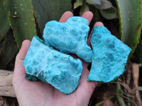 Natural Malachite Malacolla Botryoidal Chrysocolla Specimens x 6 From Kulukuluku, Congo