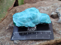 Natural Malachite Malacolla Botryoidal Chrysocolla Specimens x 6 From Kulukuluku, Congo
