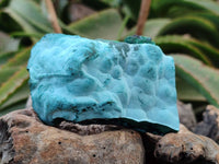Natural Malachite Malacolla Botryoidal Chrysocolla Specimens x 6 From Kulukuluku, Congo
