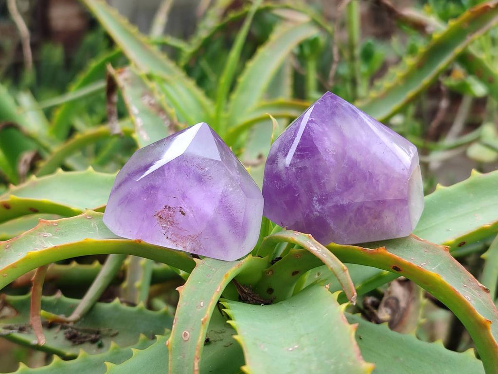 Polished Window Amethyst Crystals x 20 From Akansobe, Madagascar - Toprock Gemstones and Minerals 