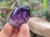 Polished Window Amethyst Crystals x 20 From Akansobe, Madagascar
