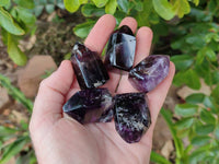 Polished Window Amethyst Crystals x 20 From Akansobe, Madagascar