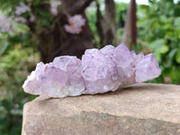 Natural Mixed Amethyst Spirit Quartz Clusters x 8 From Boekenhouthoek, South Africa
