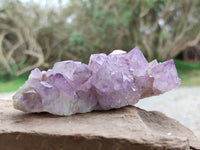 Natural Mixed Amethyst Spirit Quartz Clusters x 8 From Boekenhouthoek, South Africa