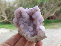 Natural Mixed Amethyst Spirit Quartz Clusters x 8 From Boekenhouthoek, South Africa