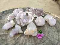 Natural Mixed Amethyst Spirit Quartz Clusters x 8 From Boekenhouthoek, South Africa