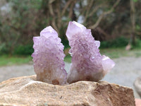 Natural Mixed Amethyst Spirit Quartz Clusters x 8 From Boekenhouthoek, South Africa