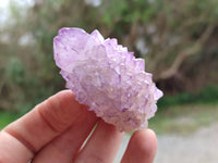 Natural Mixed Amethyst Spirit Quartz Clusters x 8 From Boekenhouthoek, South Africa