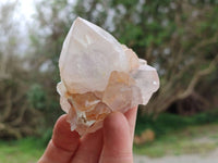 Natural Mixed Amethyst Spirit Quartz Clusters x 8 From Boekenhouthoek, South Africa