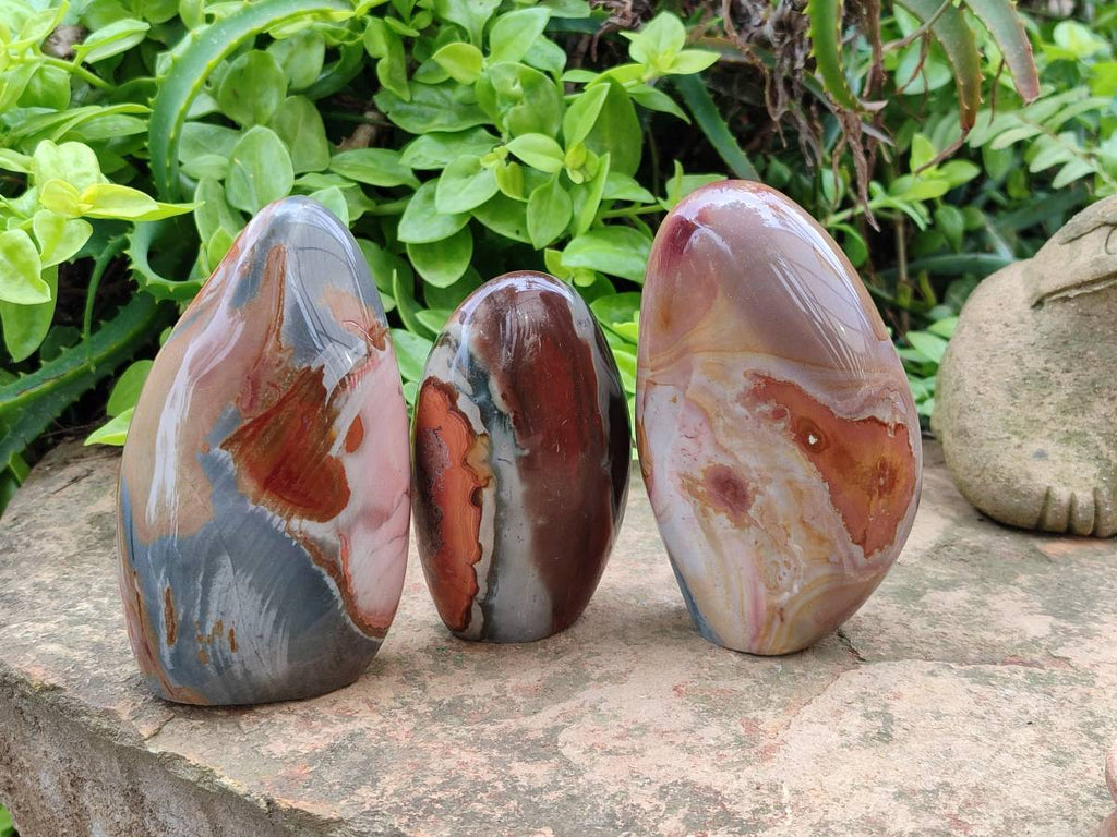 Polished Polychrome Jasper Standing Free Forms x 3 From NW Coast, Madagascar - Toprock Gemstones and Minerals 