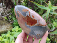 Polished Polychrome Jasper Standing Free Forms x 3 From NW Coast, Madagascar