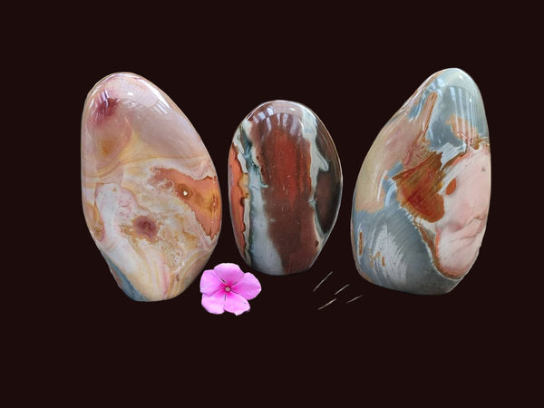 Polished Polychrome Jasper Standing Free Forms x 3 From NW Coast, Madagascar