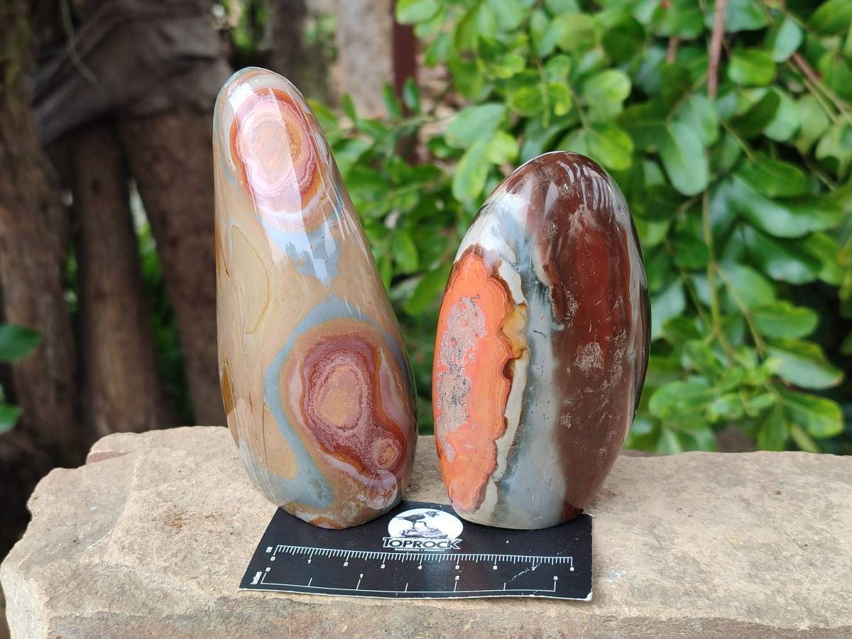 Polished Polychrome Jasper Standing Free Forms x 3 From NW Coast, Madagascar - Toprock Gemstones and Minerals 
