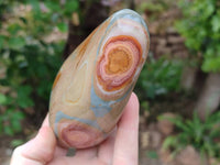 Polished Polychrome Jasper Standing Free Forms x 3 From NW Coast, Madagascar