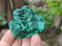 Natural Silky Malachite Specimens x 12 From Kasompe, Congo