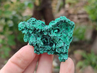 Natural Silky Malachite Specimens x 12 From Kasompe, Congo