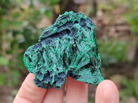 Natural Silky Malachite Specimens x 12 From Kasompe, Congo