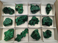 Natural Silky Malachite Specimens x 12 From Kasompe, Congo