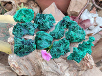 Natural Silky Malachite Specimens x 12 From Kasompe, Congo