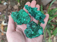 Natural Silky Malachite Specimens x 12 From Kasompe, Congo